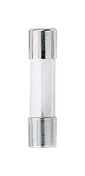 Bussmann 0.25 amps Fast Acting Glass Fuse 2 pk