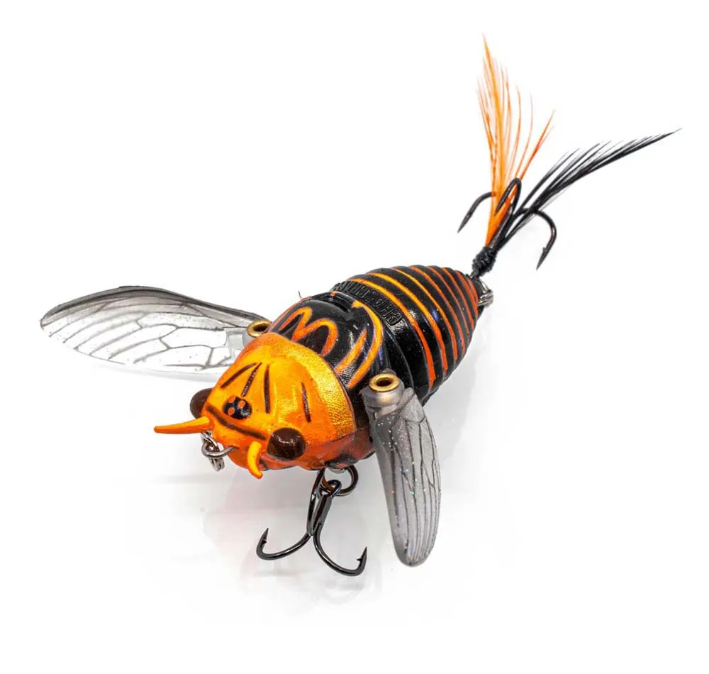 Chasebaits Ripple Cicada Lure