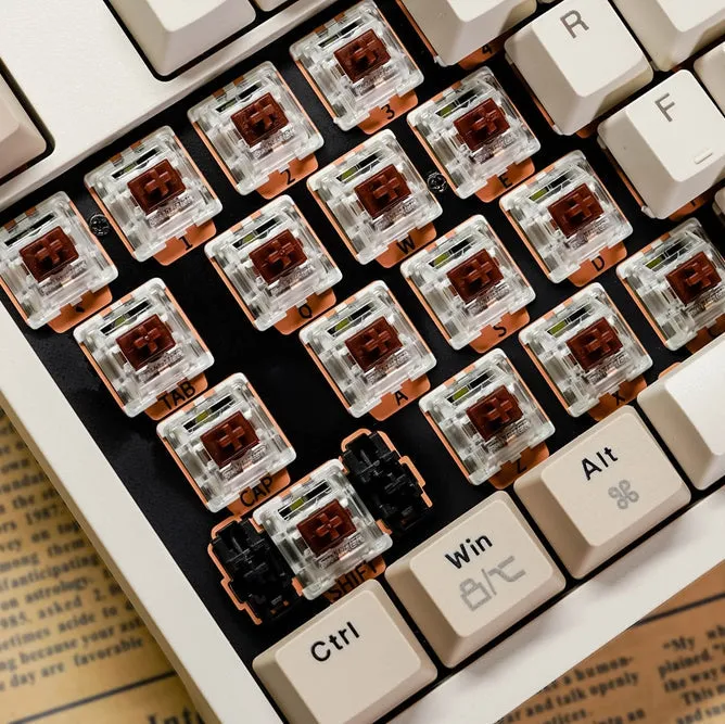 JAMESDONKEY RS2 Hot-swap White Light Mechanical Keyboard