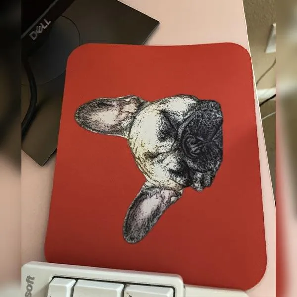 Original Pet Pop Art Mousepads