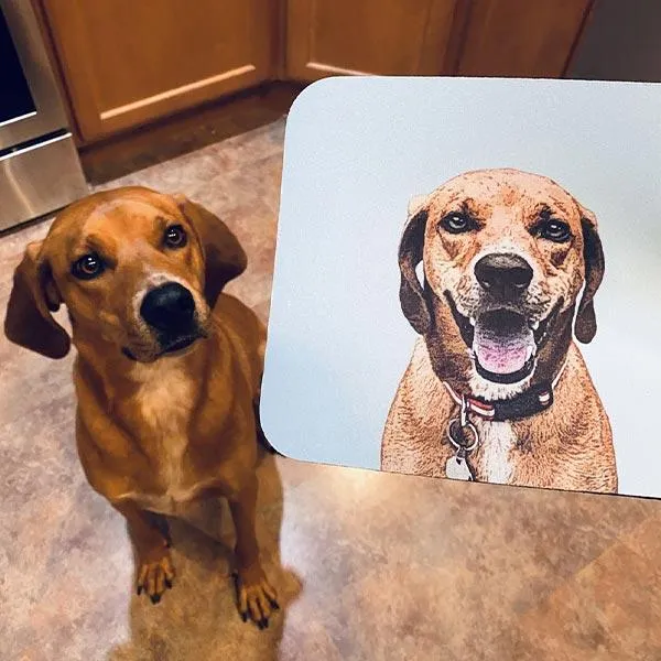 Original Pet Pop Art Mousepads